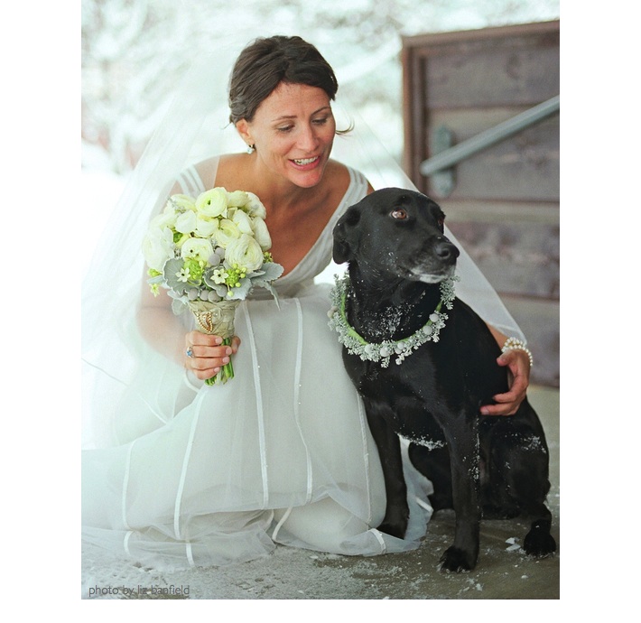 liz banfield winter wed w dog.001