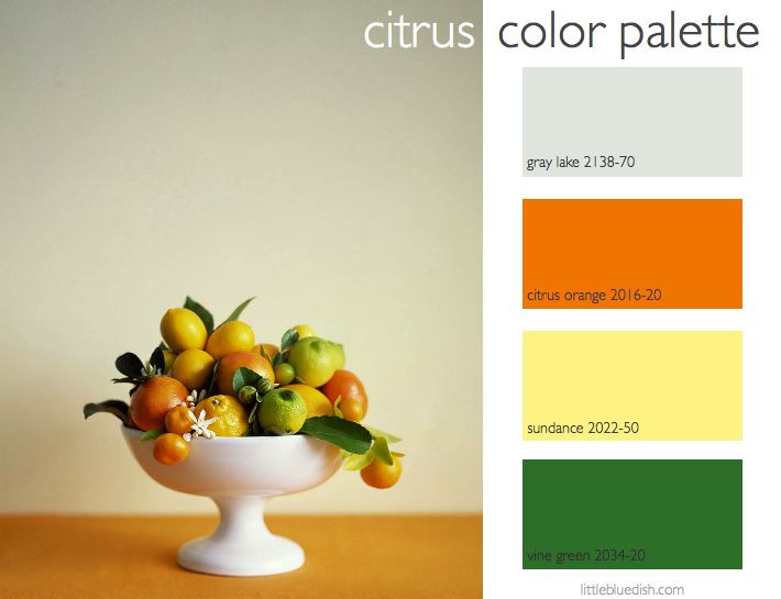 color palette- citrus.001