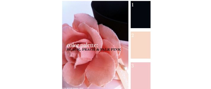 color palette blk peach pink small.001