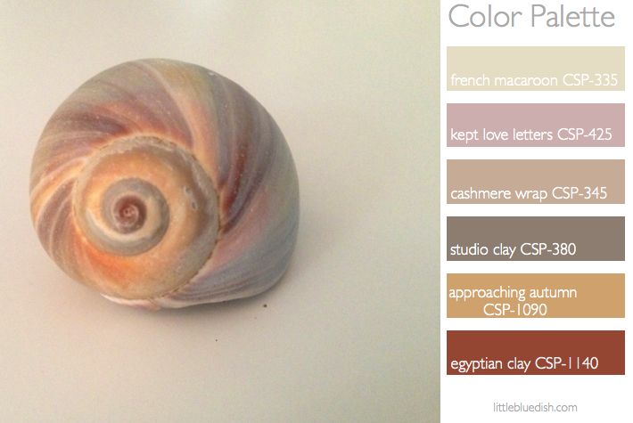 color palette- shell tans, pinks.001