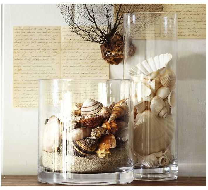 seashells in vases.001