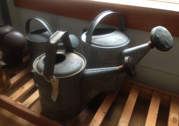 connie's watering cans.001