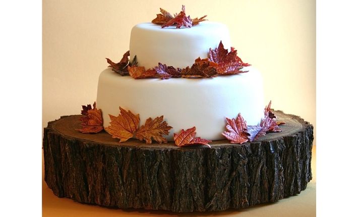 andie's fall cake.001