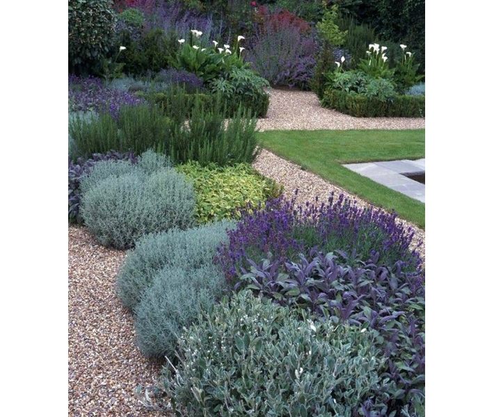 lavender garden.001