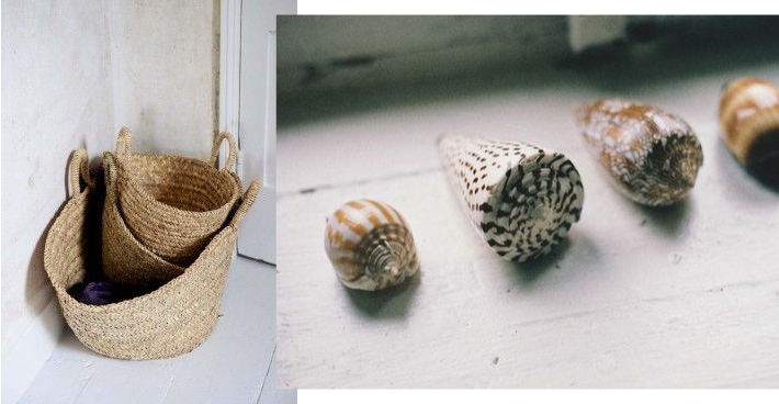 baskets and shells.001